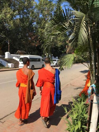Monks walking 